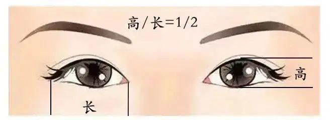 科普：眼部10大美学标准 | 附美眼方案