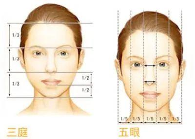科普：鼻部整形的8大美学标准