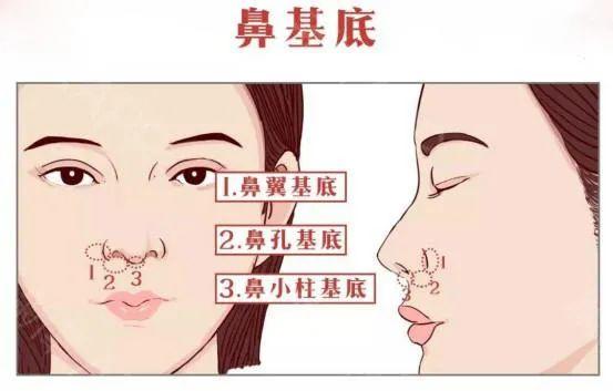 科普：鼻部整形的8大美学标准