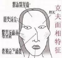 科普：脸型如何才甜美，教你学会看脸型！