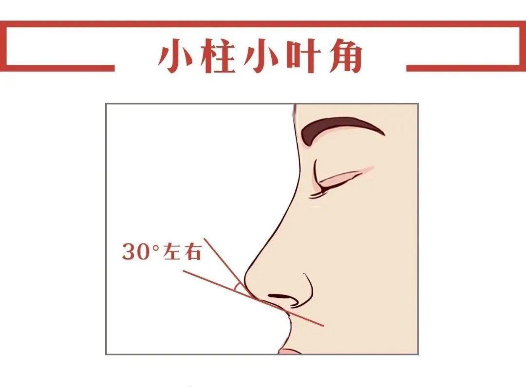 科普：鼻部整形的8大美学标准