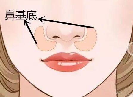 科普：鼻部整形的8大美学标准