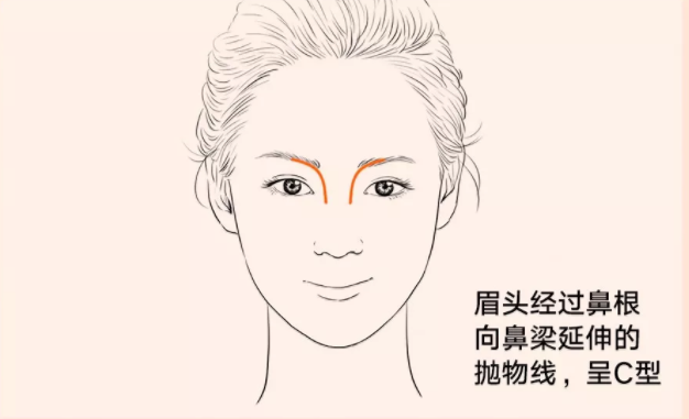 科普：鼻部整形的8大美学标准